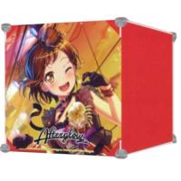 【E.Tsugumi Hazawa】BanG Dream！ Girls Band Party！ Linked storage case vol．3 Afterglow