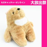 【B.Half Moon】Chubby Bear Called Moon　Stuffed Animal