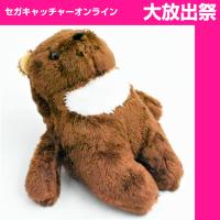 【E.Dark Night】Chubby Bear Called Moon　Stuffed Animal