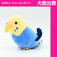 【B.セキセイインコ　ブルー(イエローフェイス)】のんびり小鳥図鑑