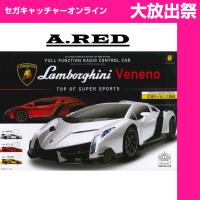 (放出祭)【A.RED】RC Lamborghini VENENO Ⅵ