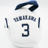 【A.YAMAKAWA】西武ライオンズ プレイヤーズダイカット手さげバッグ