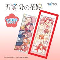 【B.Type-B】五等分の花嫁∬　ロングクッション　限定Ver.