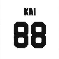 【B.KAI】EXO ブランケット3