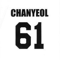 【A.CHANYEOL】EXO ブランケット2