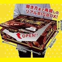 【B.ショコラ】パイの実 リアルBIGBOX※賞味期限2023.05.31