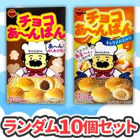 【10個セット】ブルボン チョコあ～んぱん２種セット※賞味期限2023.7.22