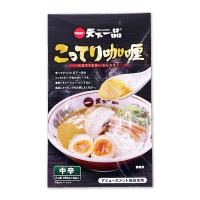 アリアケジャパン 天下一品こってりカレー２ＰＢＯＸ ※賞味期限2024.2.22