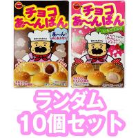 【10個セット】ブルボン チョコあ～んぱん２種セット※賞味期限2023.9.27