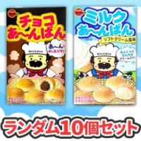 【10個セット】ブルボン チョコあ～んぱん２種※賞味期限2024.01.24