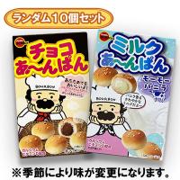 【10個セット】ブルボン チョコあ～んぱん ※賞味期限2024.12.31