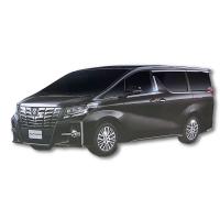 【ブラック】RC TOYOTA ALPHARD (3216)