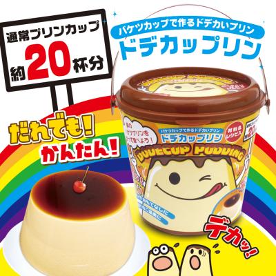 (アウトレット)大島食品　ドデカップリン(賞味期限19.07.20)