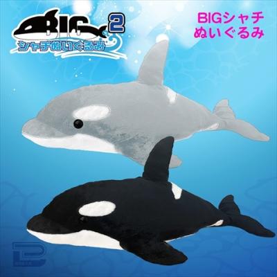 Bigシャチぬいぐるみ2 オンラインクレーンゲーム Gigo Online Crane