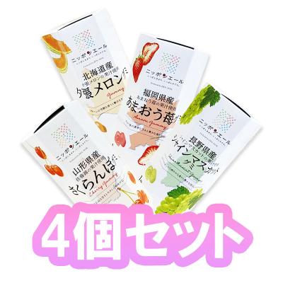 【4個セット】全濃ニッポン エールグミ六角ＢＯＸ４種 ※賞味期限